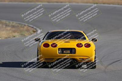 media/Nov-19-2023-Extreme Speed (Sun) [[bd0eec5490]]/Red/Back Shots/